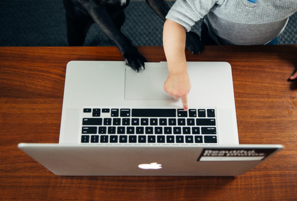 child and dog touching laptop
